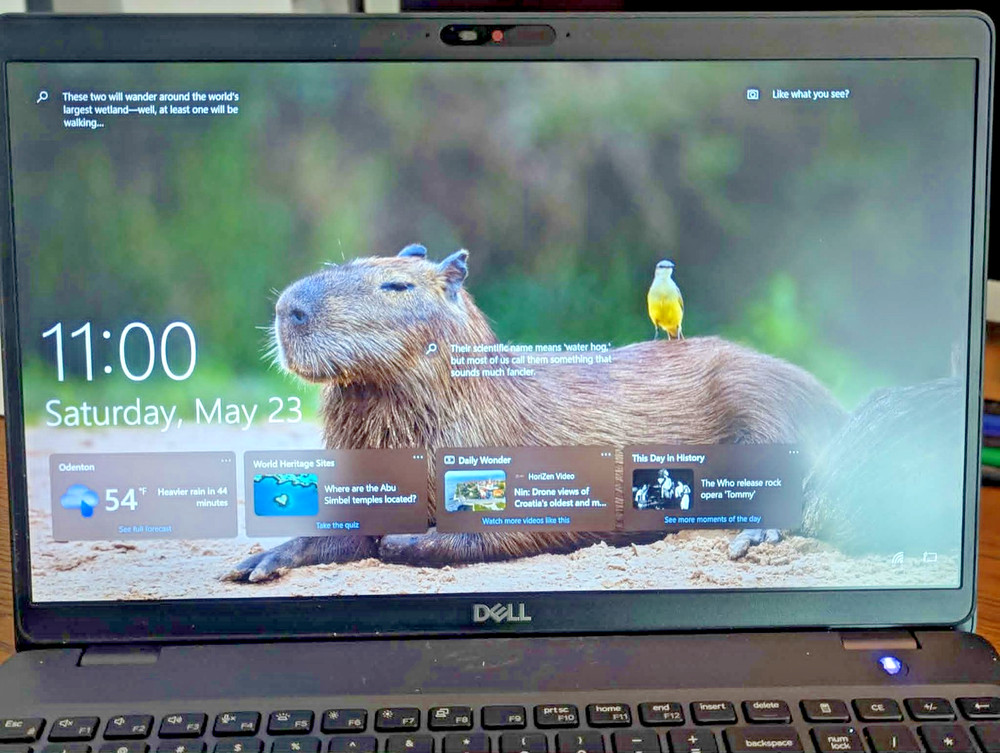 Dell Latitude 5501 Laptop i5 16GB RAM 256GB SSD - Works Plugged In