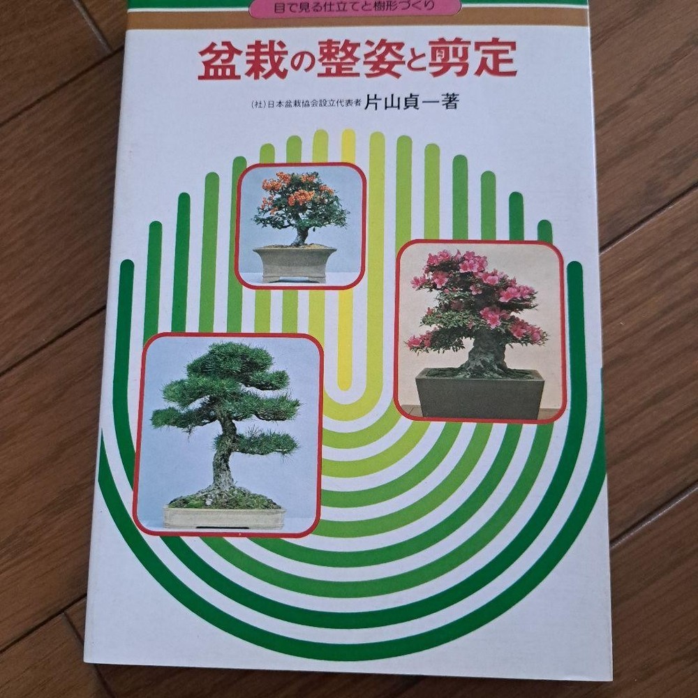 Bonsai Book Comprehensive Guide Illustrated Edition Detailed Photos