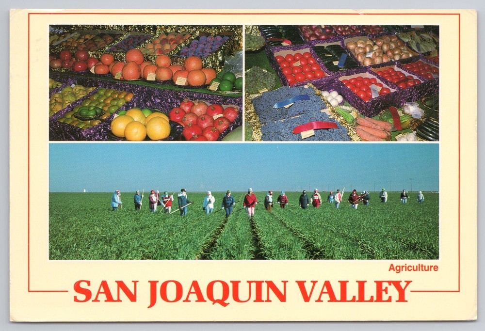 Postcard San Joaquin Valley Agriculture California
