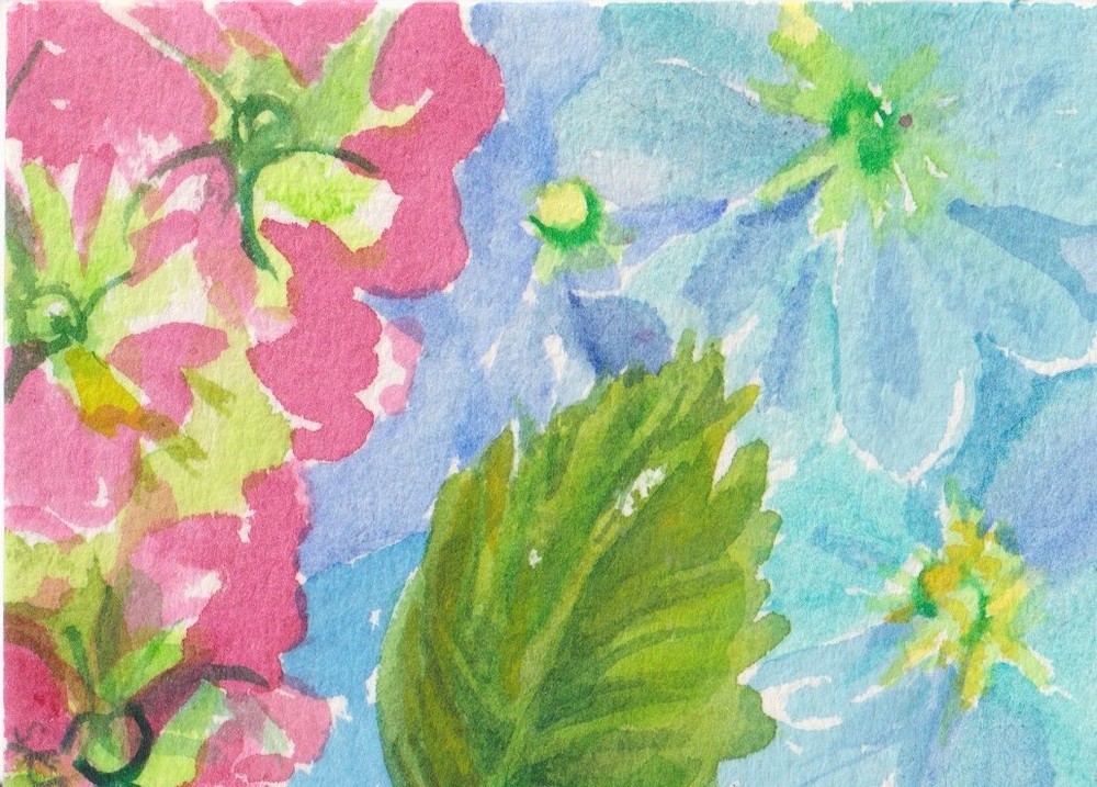 Blue, Pink  Hydrangea Flowers ACEO Original Watercolor Art by Sharon Foster