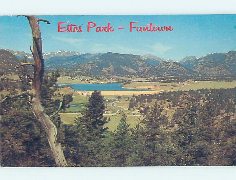 Pre-1980 NATURE SCENE Estes Park - Near Denver Colorado CO m/09 AD6459