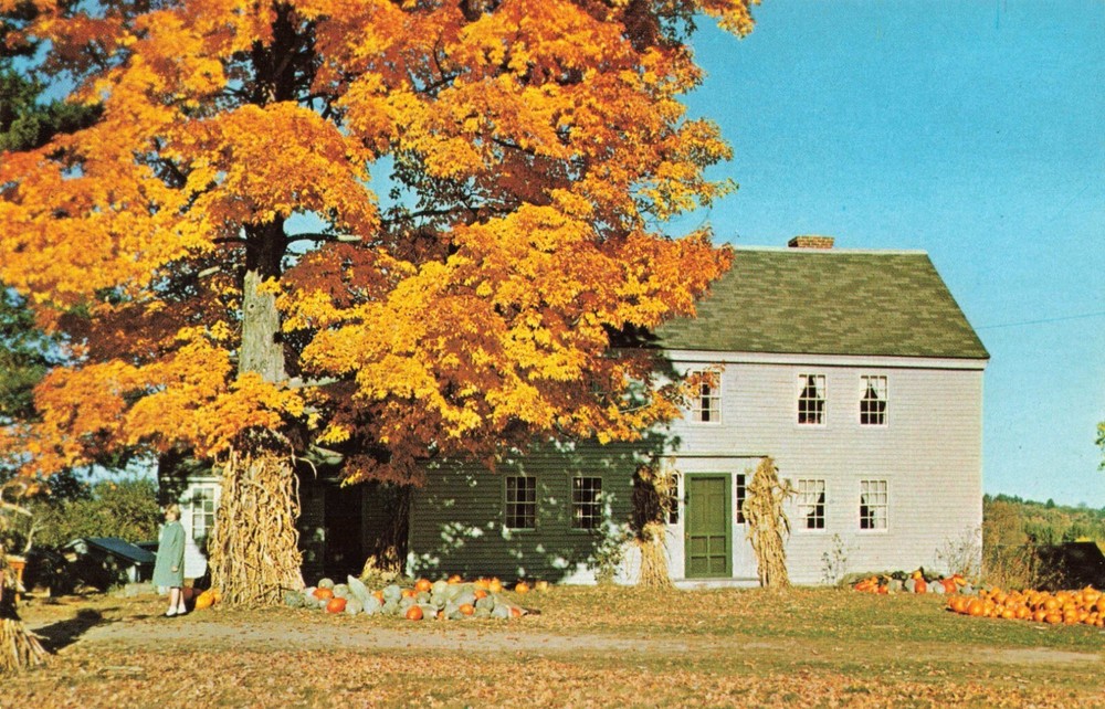 Concord NH New Hampshire, New England Autumn Colors Pumpkins, Vintage Postcard