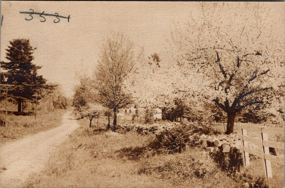 Street View, OTISFIELD, Maine Real Photo Postcard