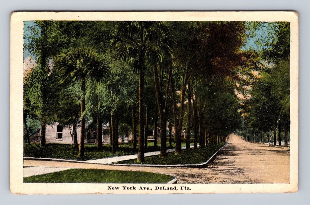 DeLand FL-Florida, New York Avenue, Residential Area, Vintage Souvenir Postcard