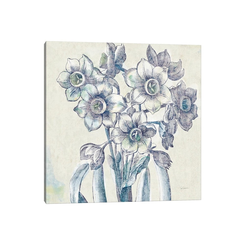 iCanvas Belle Fleur IV Floral Art Print by Sue Schlabach