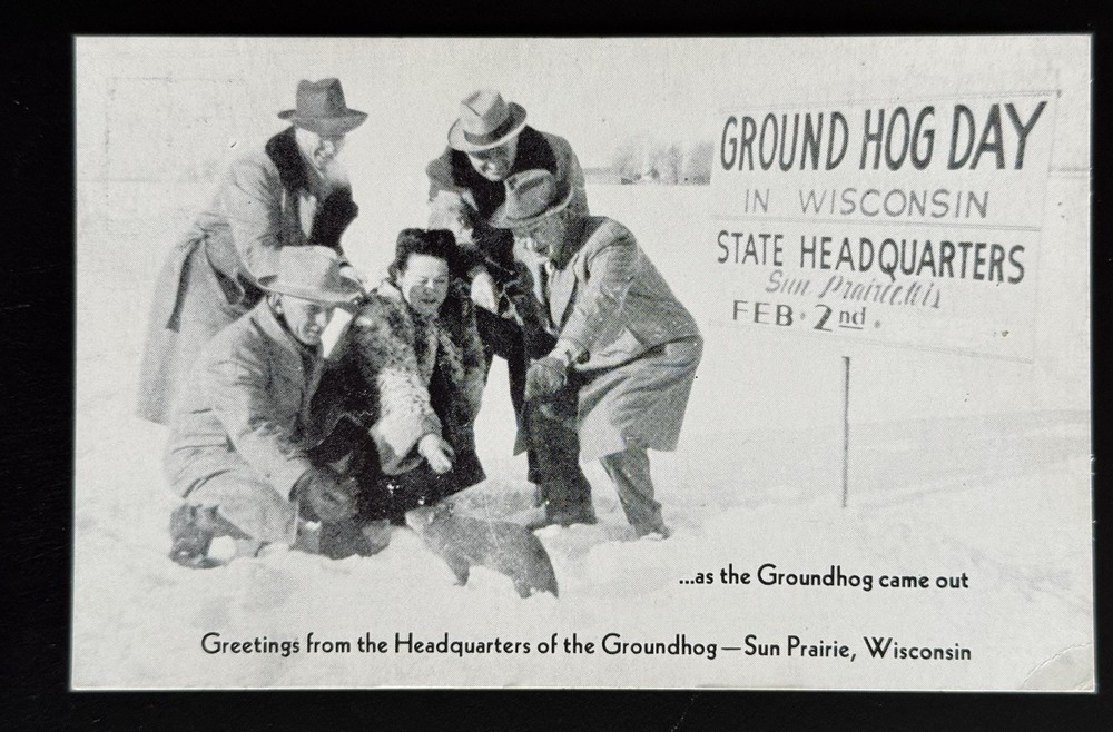 Vintage Groundhog Day Postcard Sun Prairie WI State HQ Photo