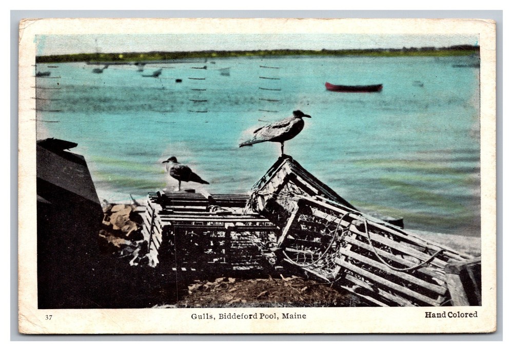 Biddeford Pool Maine ME  Gulls Lobster Traps Posted 1940 Linen Postcard