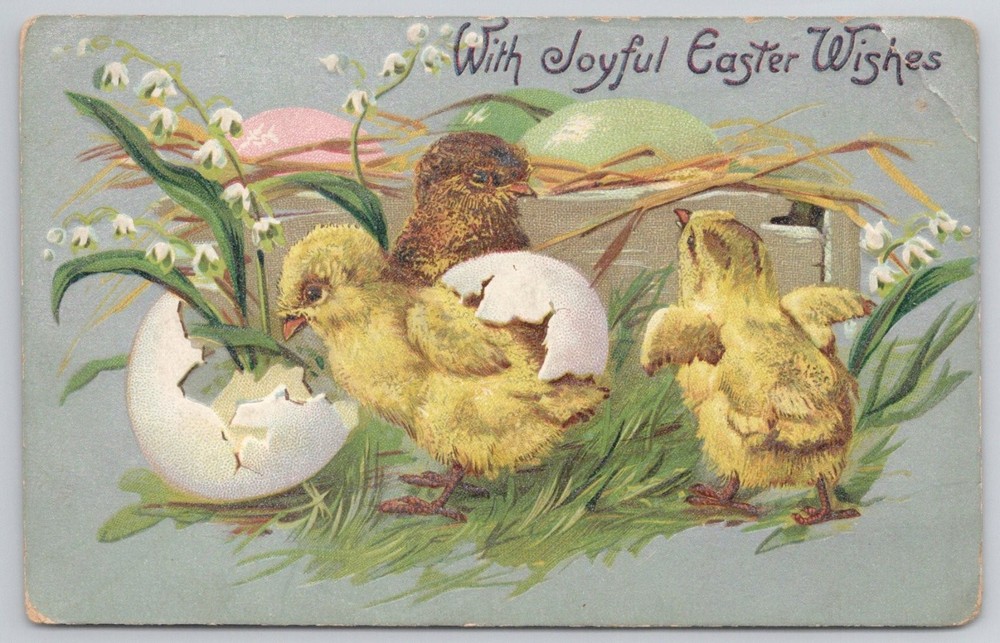 Raphael Tuck Easter Chicks Postcard, Embossed, 