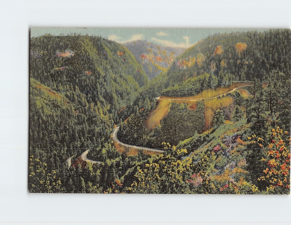 Postcard In Oak Creek Canyon Arizona USA