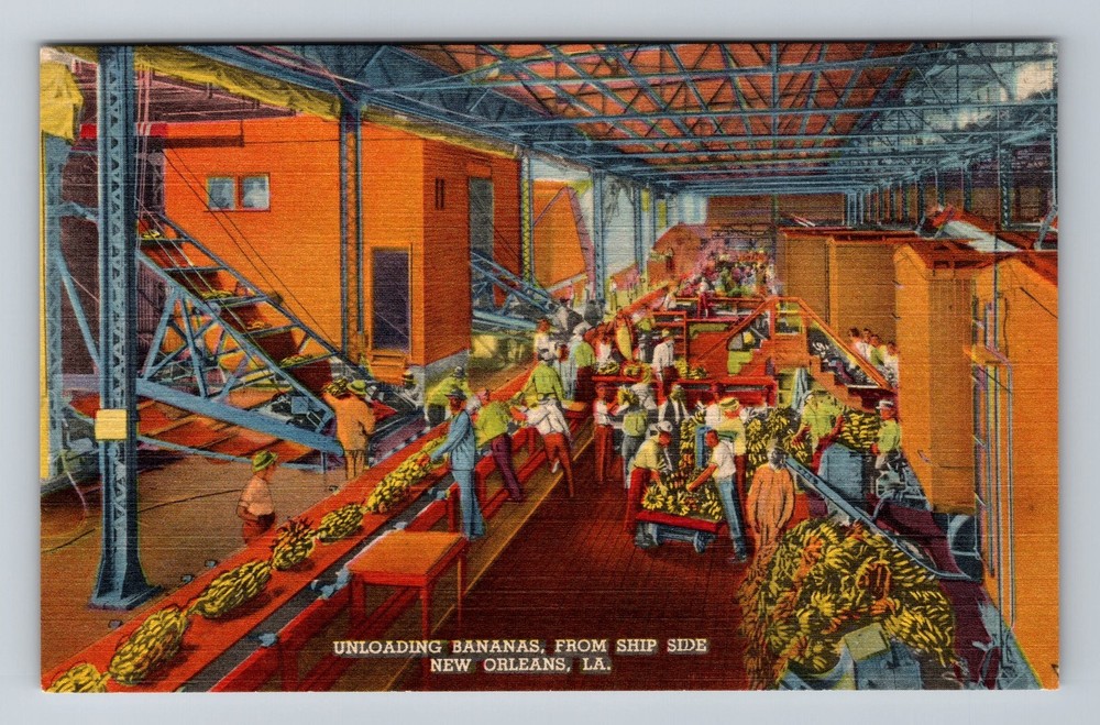 New Orleans LA-Louisiana Unloading Bananas From Ship Side Vintage Postcard