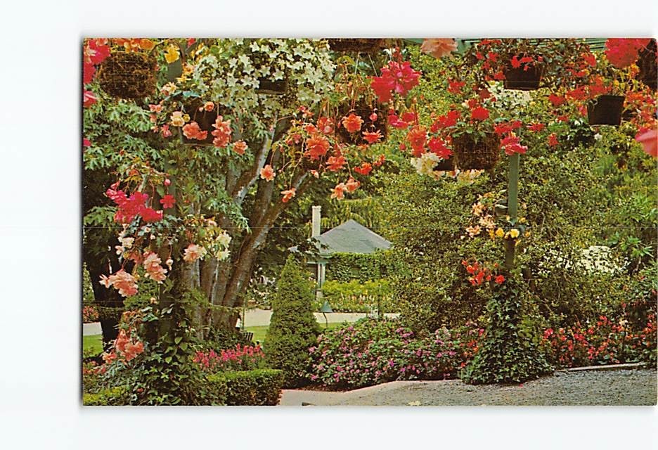 Postcard Hanging Baskets The Butchart Gardens Victoria British Columbia Canada