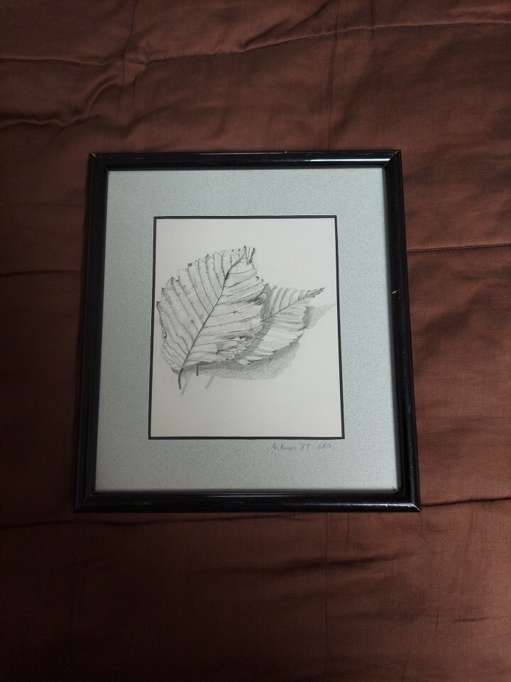 Fine Art  Pencil Drawing. Monochrome Leaf. Signed. 8X12 Art. Matted