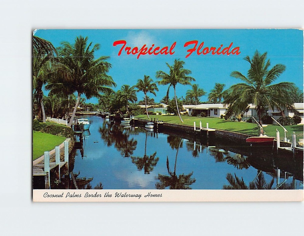 Postcard Coconut Palms Border the Waterway Homes Tropical Florida USA