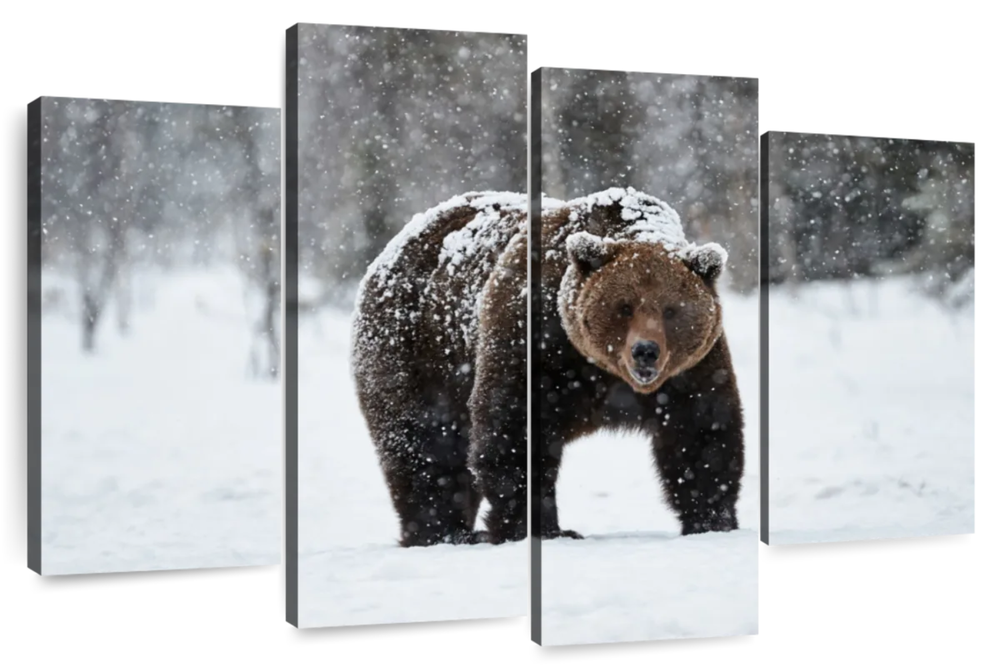 Winter Grizzly Bear Wall Art