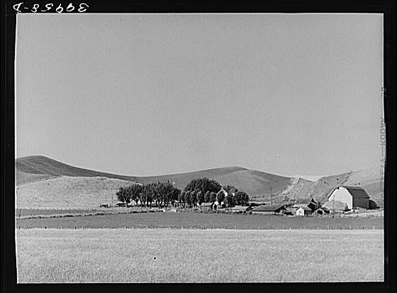 Farmstead,Whitman County,Washington,WA,Farm Security Administration,FSA,1941,2