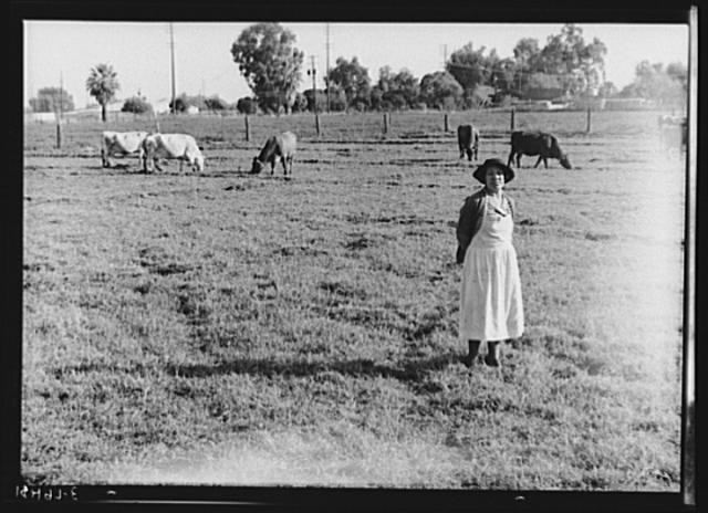 Tulare County California 1930s Woman with Cattle Farm Security Administration