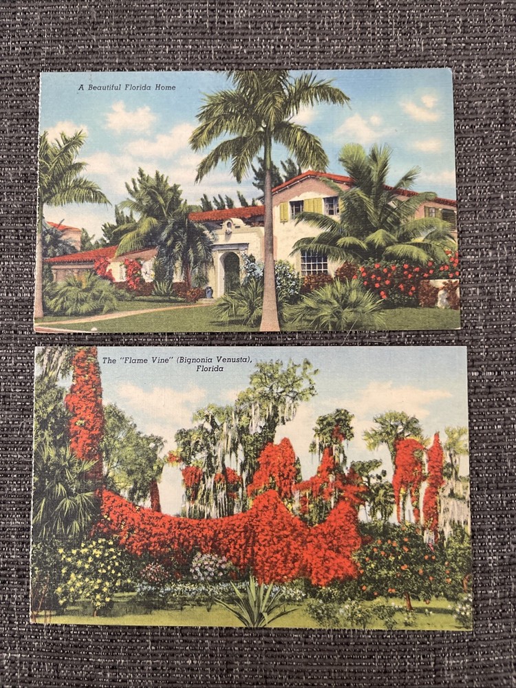 Linen Postcards Miami, FL~ Beautiful Tropical Florida Home & The Flame Vine