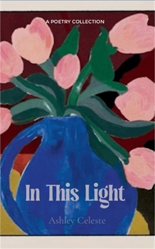 In This Light (Paperback or Softback)