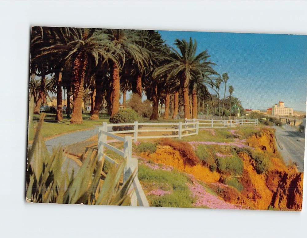 Postcard Palisades Park Santa Monica California USA