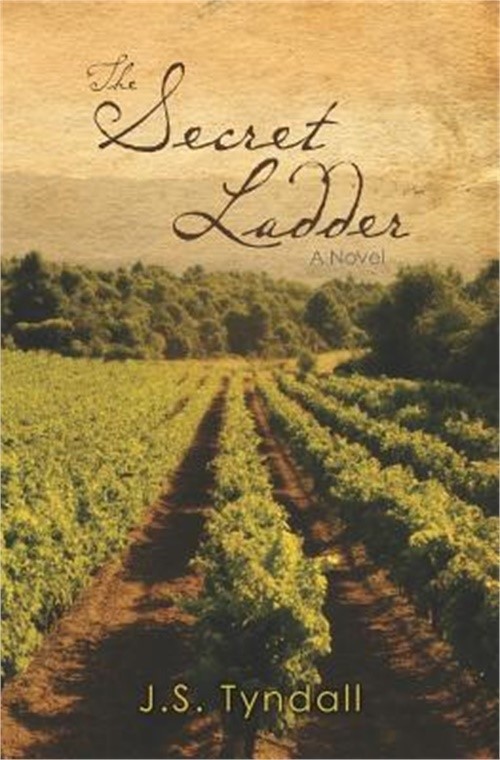 The Secret Ladder (Paperback or Softback)
