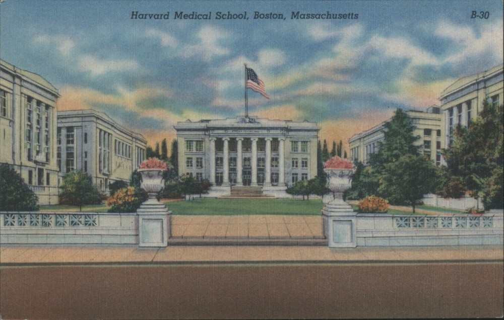 Boston, Massachusetts MA Harvard Medical School Original Vintage Postcard