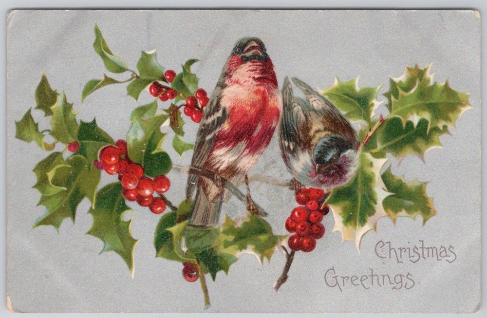 Antique Christmas Greetings Postcard Birds on Holly Berries Branch Unposted