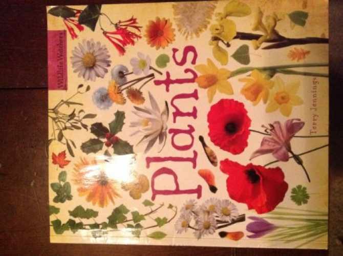 Plants [Wildlife Watchers] - Paperback, by Terry Jennings - Very Good