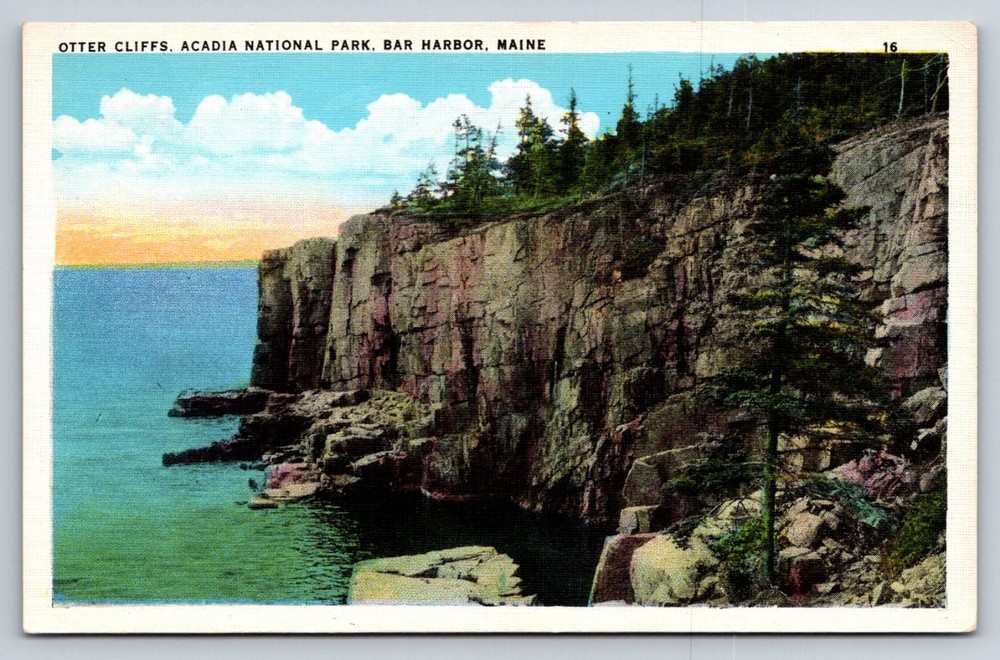 Otter Cliffs Acadia National Park Bar Harbor Maine Vintage Linen Postcard-image