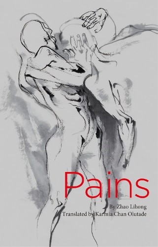 Zhao Lihong Pains (Chinese Poems) (Paperback) Contemporary WritersAnother great item from Rarewaves USA | Free delivery!