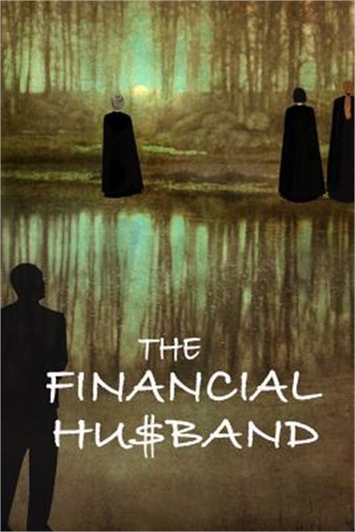 The Financial Husband (Paperback or Softback)