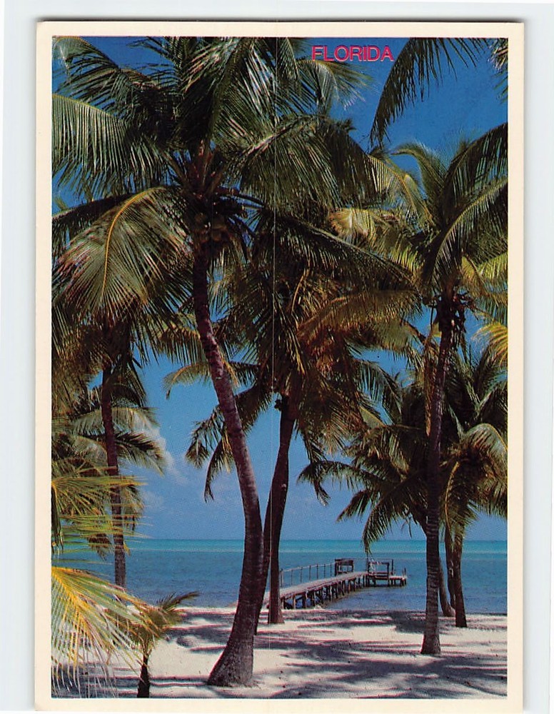Postcard Miles of palm fringed beaches Florida USA