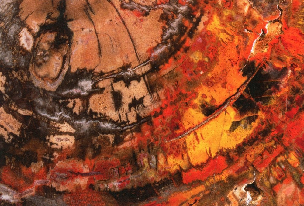 Petrified Forest National Park, Near Holbrook, Arizona --New POSTCARD