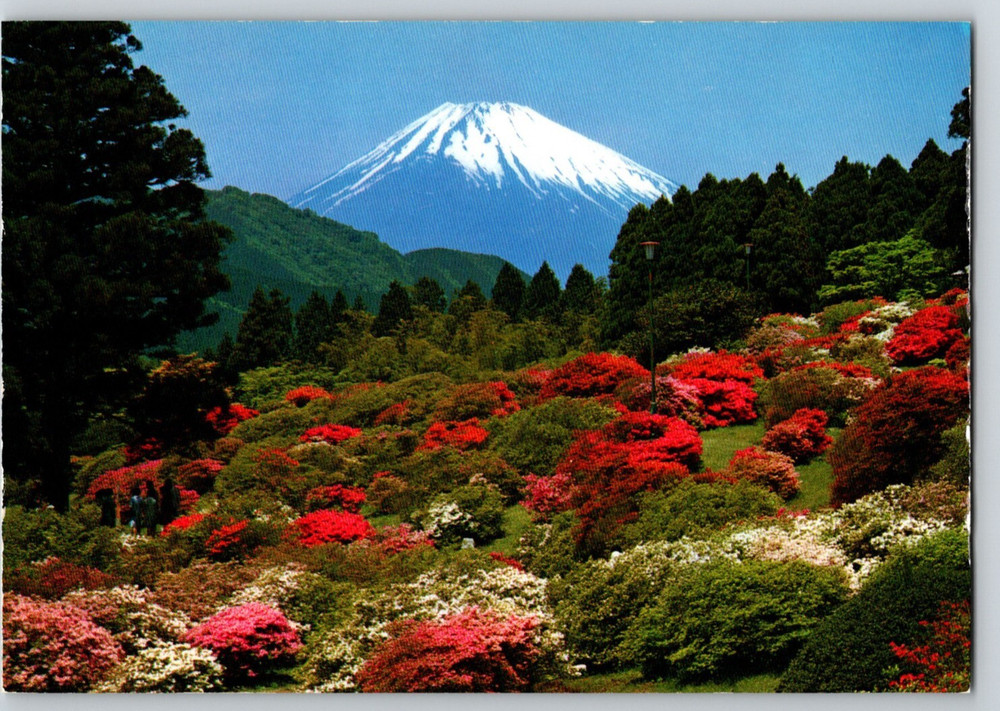 Japan Snowy Mt Fuji Early Spring Blooming Azaleas Continental Postcard