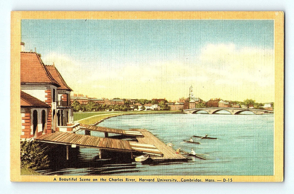 A Beautiful Scene on the Charles River Harvard University Cambridge Postcard E2