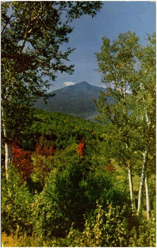 Mt. Adams from the Glen Pinkham Notch New Hampshire NH 1950s Chrome Postcard