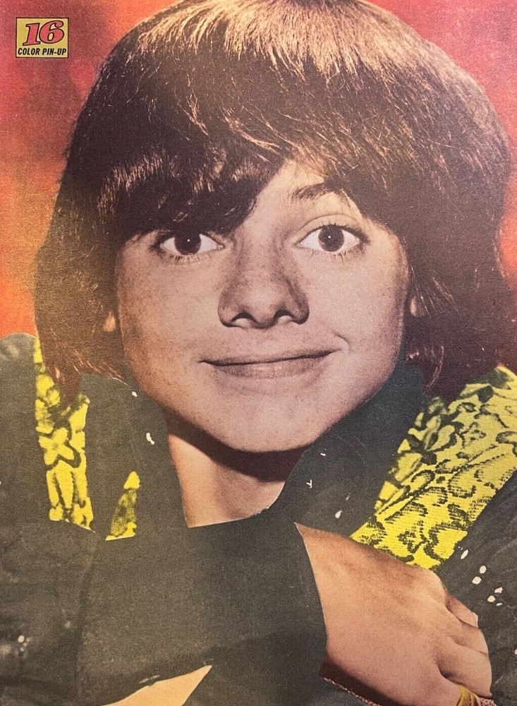 1971 Vintage Illustration Actor Jack Wild