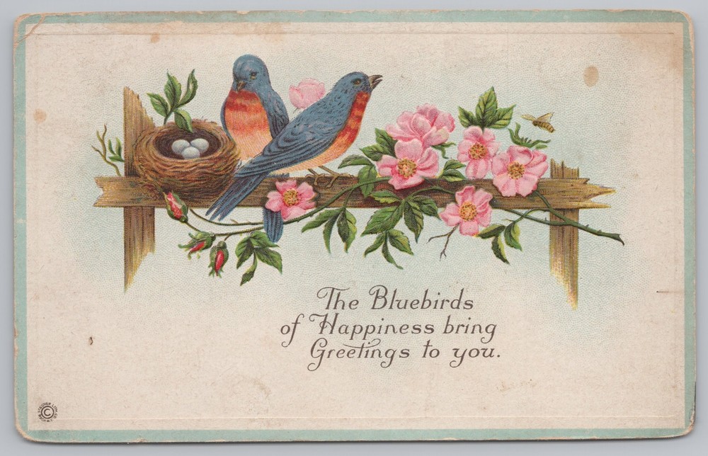 Bluebirds Of Happiness~Nest w/3 Eggs~Pink Wild Roses~Emboss~Stecher 623B~1919 PC