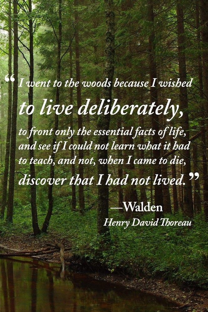 To Live Deliberately Journal: Quotation from “Walden” by Henry David Thoreau