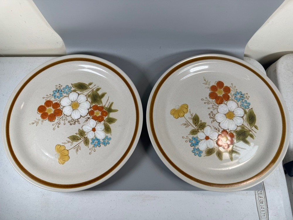 Highland Florals Stoneware Dinner Plates 10.5” Japan Set of 2