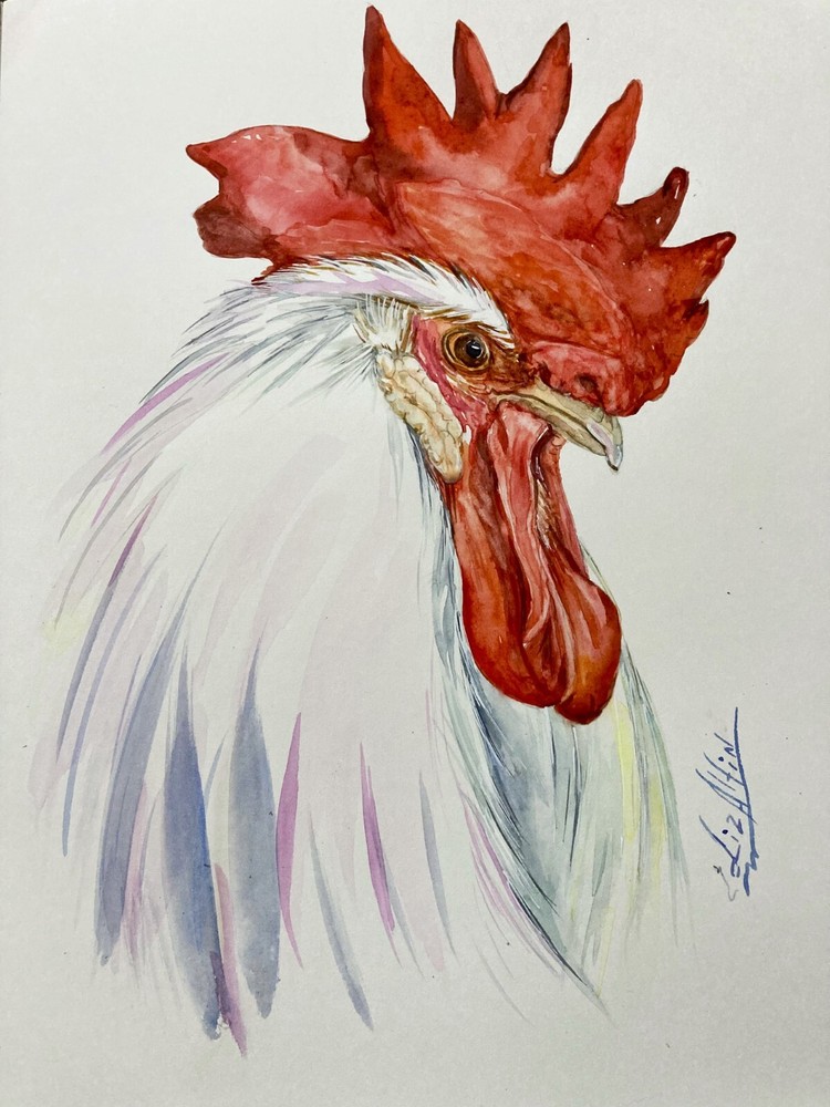 Rooster Farm Bird Watercolor Original Artwork
