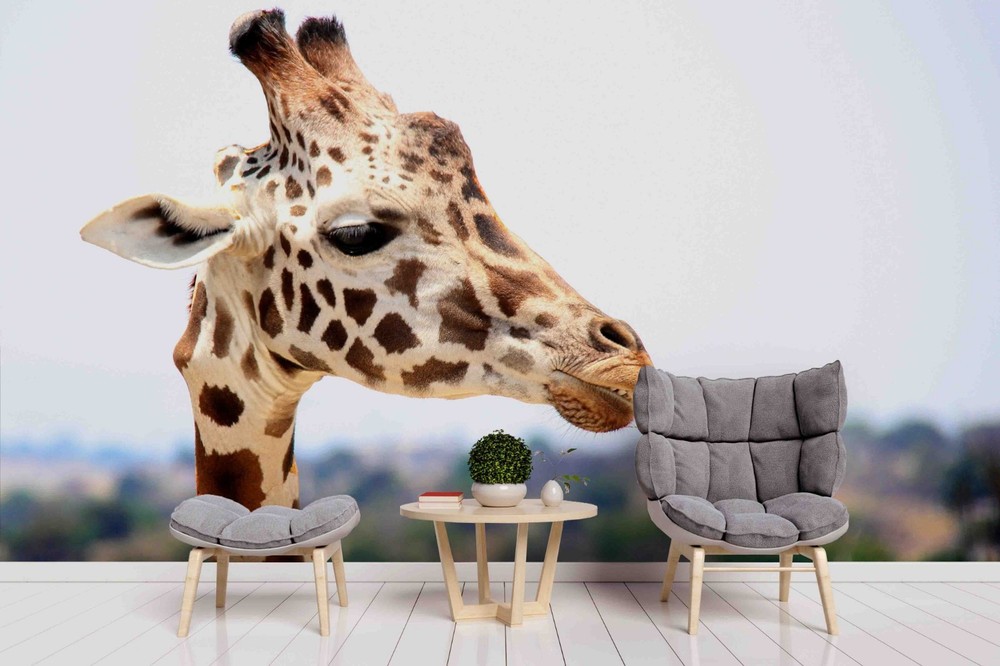 3D Giraffe Animal Close-up Wall Murals Wallpaper Murals Wall Sticker 3