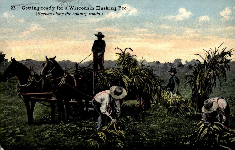 1915 Wisconsin Husking Bee Agriculture Farm Horse Wagon E.A. Bishop Litho Postca