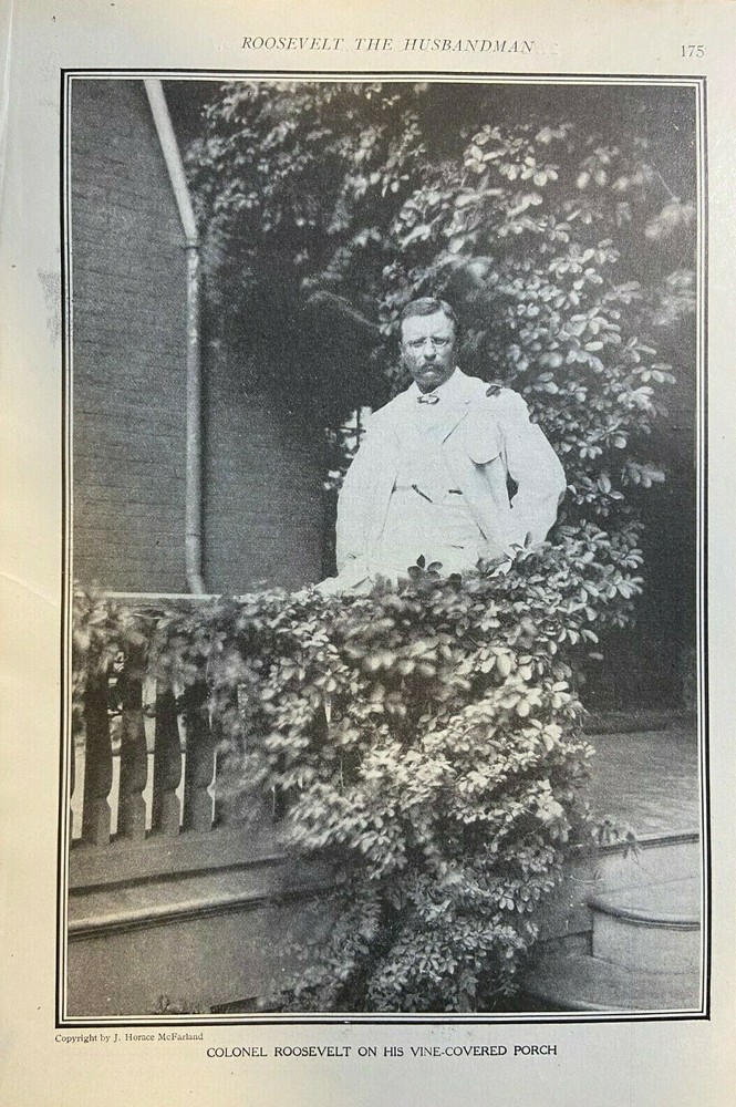 1910 Vintage Magazine Illustration President Theodore Roosevelt