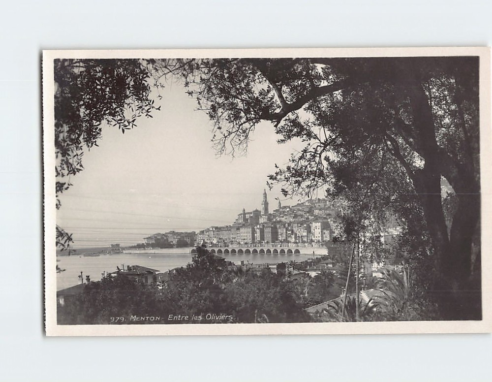Postcard Scenic View of Menton France