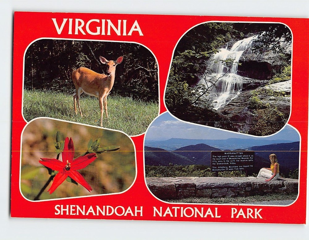 Postcard Shenandoah National Park Virginia USA