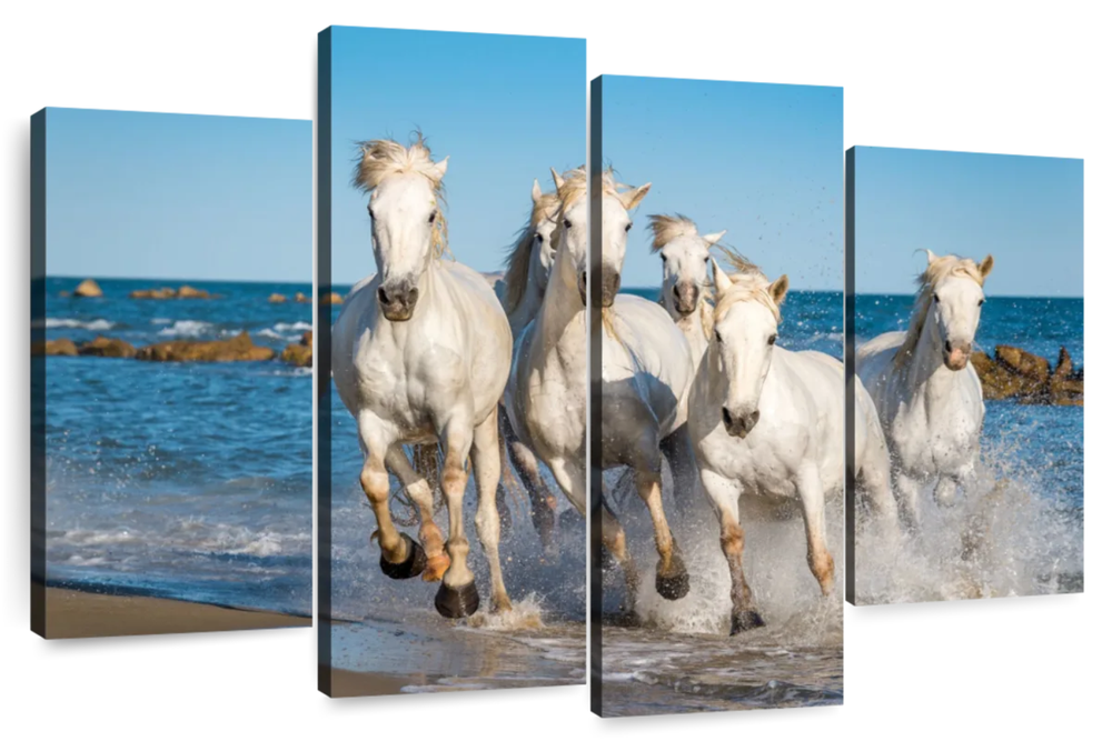 Camargue Horses Wall Art