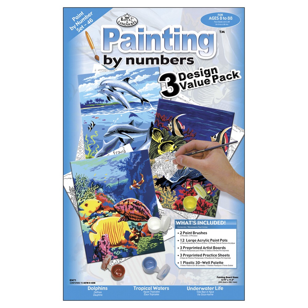 Junior Small Paint By Number Kit 8.75
