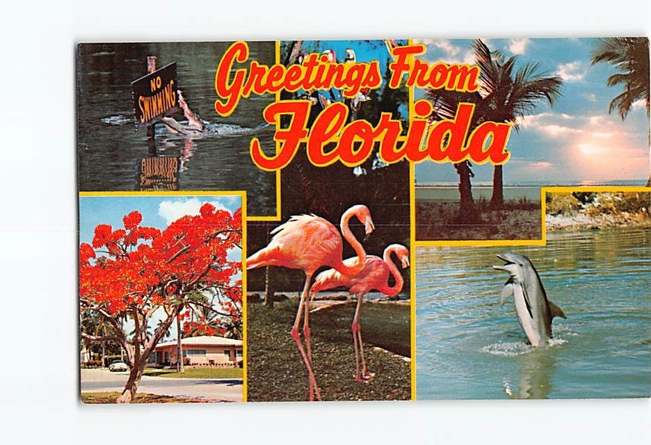 Postcard Scenes & Views Greetings from Florida USA