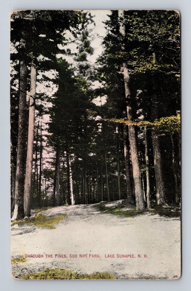 Lake Sunapee NH-New Hampshire, Through the Pines, Vintage Postcard