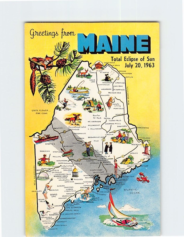 Postcard Greetings from Maine USA